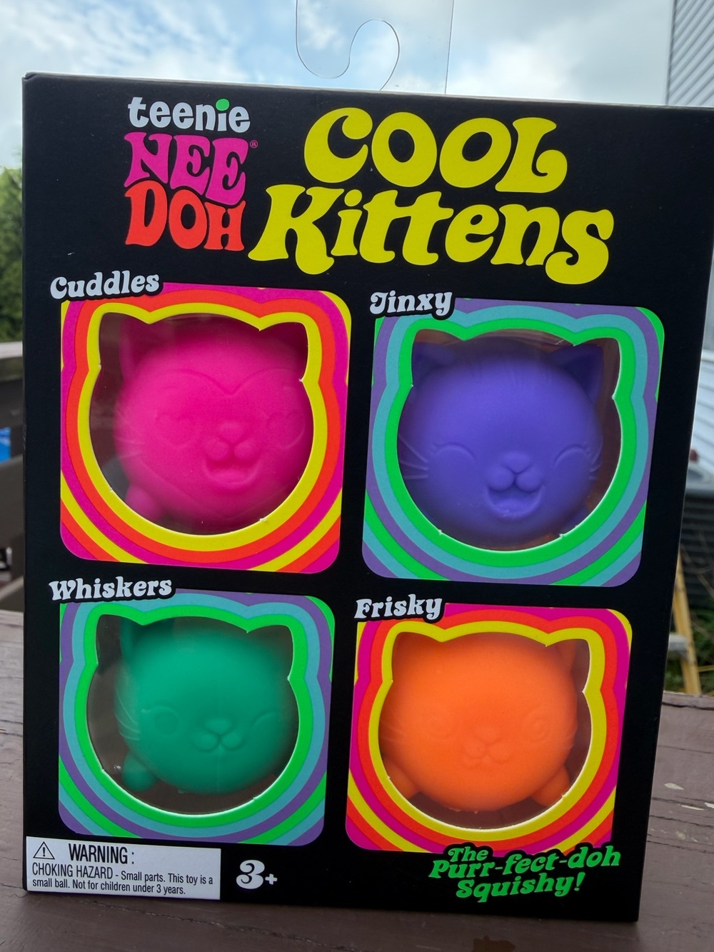 NeeDoh Teenie Cool Kittens